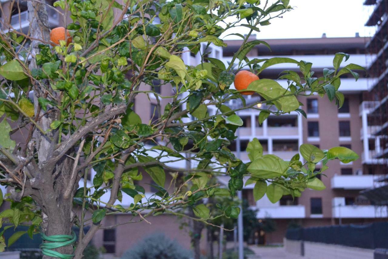 Airport & Fair Suite Apartments Fiumicino Exterior photo